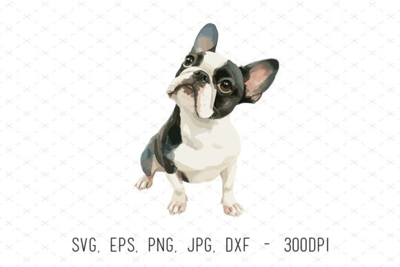 Cute Boston Terrier Puppy Dog Clipart for Creative Projects