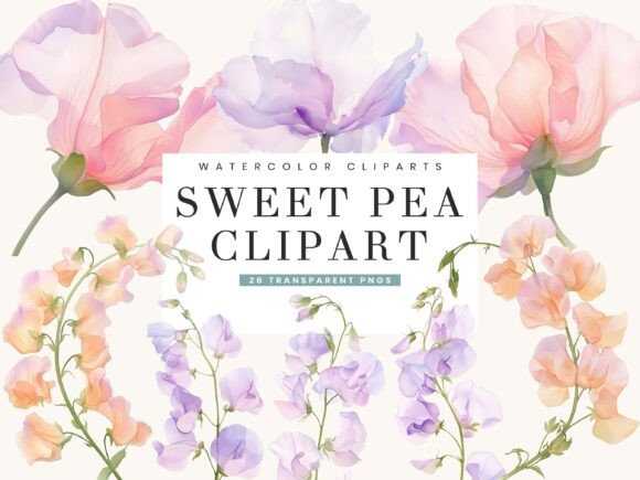 Discover the Beauty of the 26 Watercolor Sweet Pea Clipart Bundle for Creative Projects